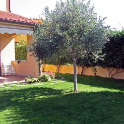 gina-giardino_2