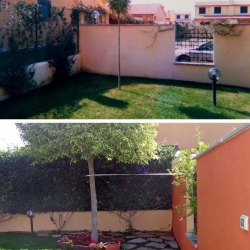 gina-giardino_dit1